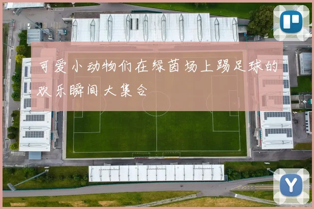 可爱小动物们在绿茵场上踢足球的欢乐瞬间大集合